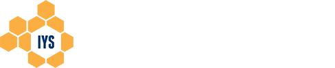 Institute for Youth Studies | IYS