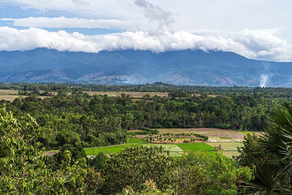 The history of IYS begins in the Philippines.